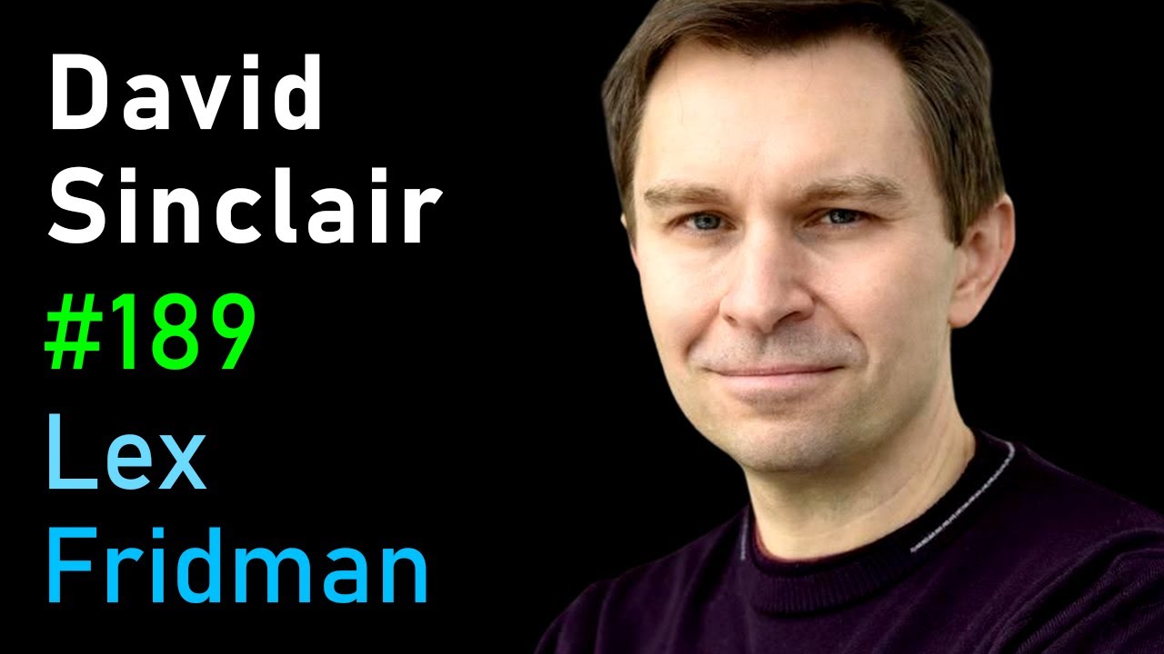 David Sinclair: Extending the Human Lifespan Beyond 100 Years